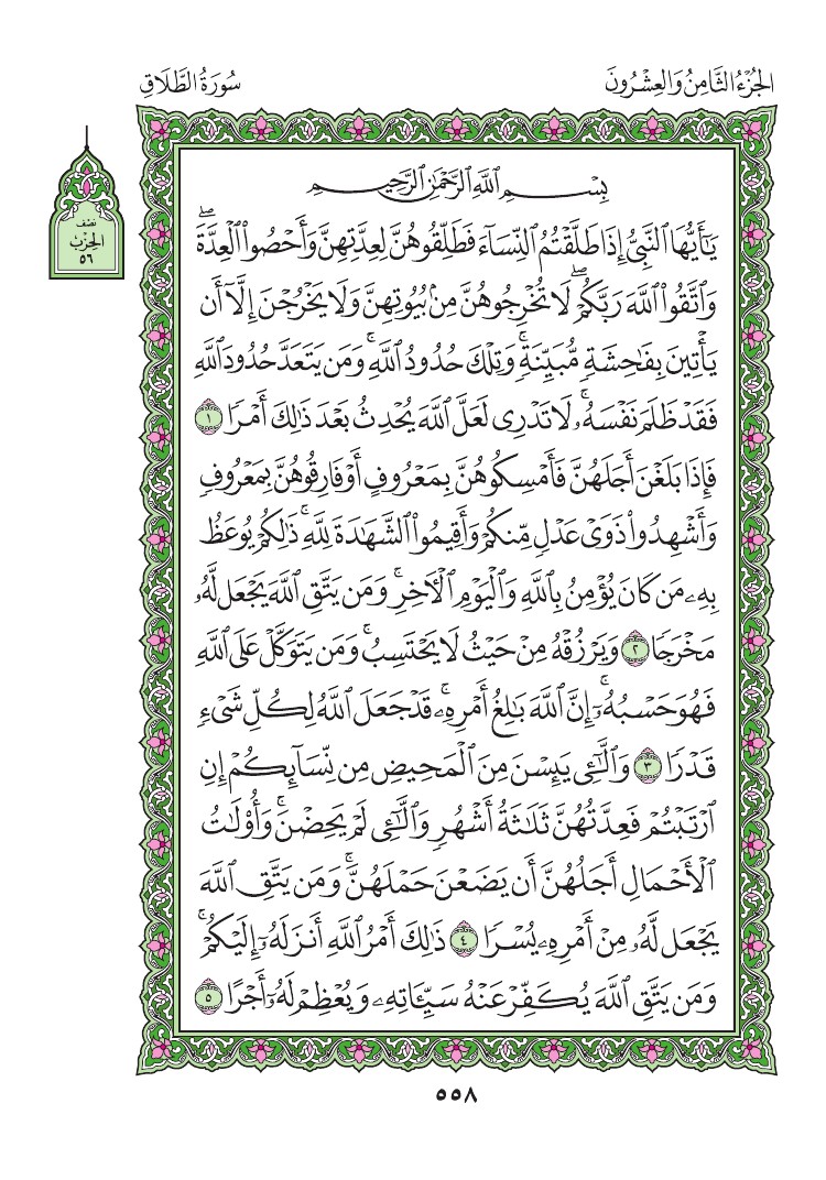 سورة الطلاق - صفحة 558