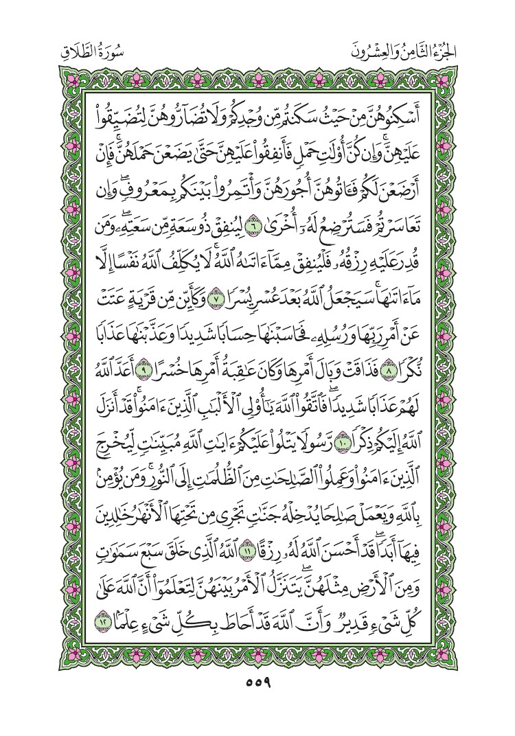 سورة الطلاق - صفحة 559