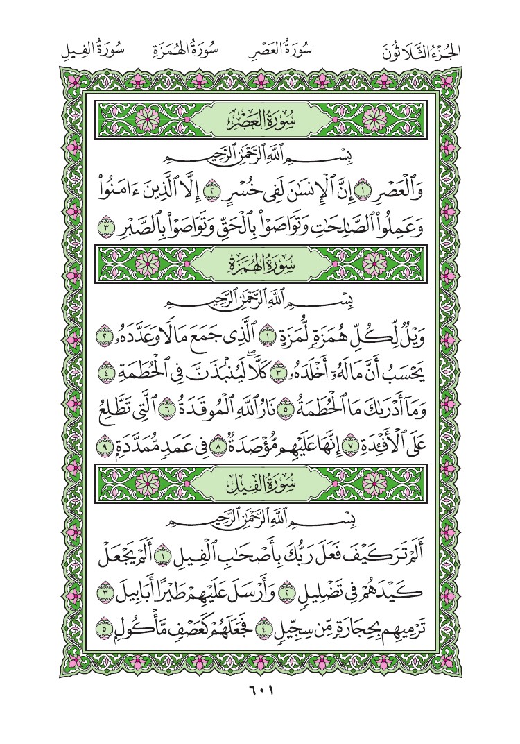 سورة العصر - صفحة 601