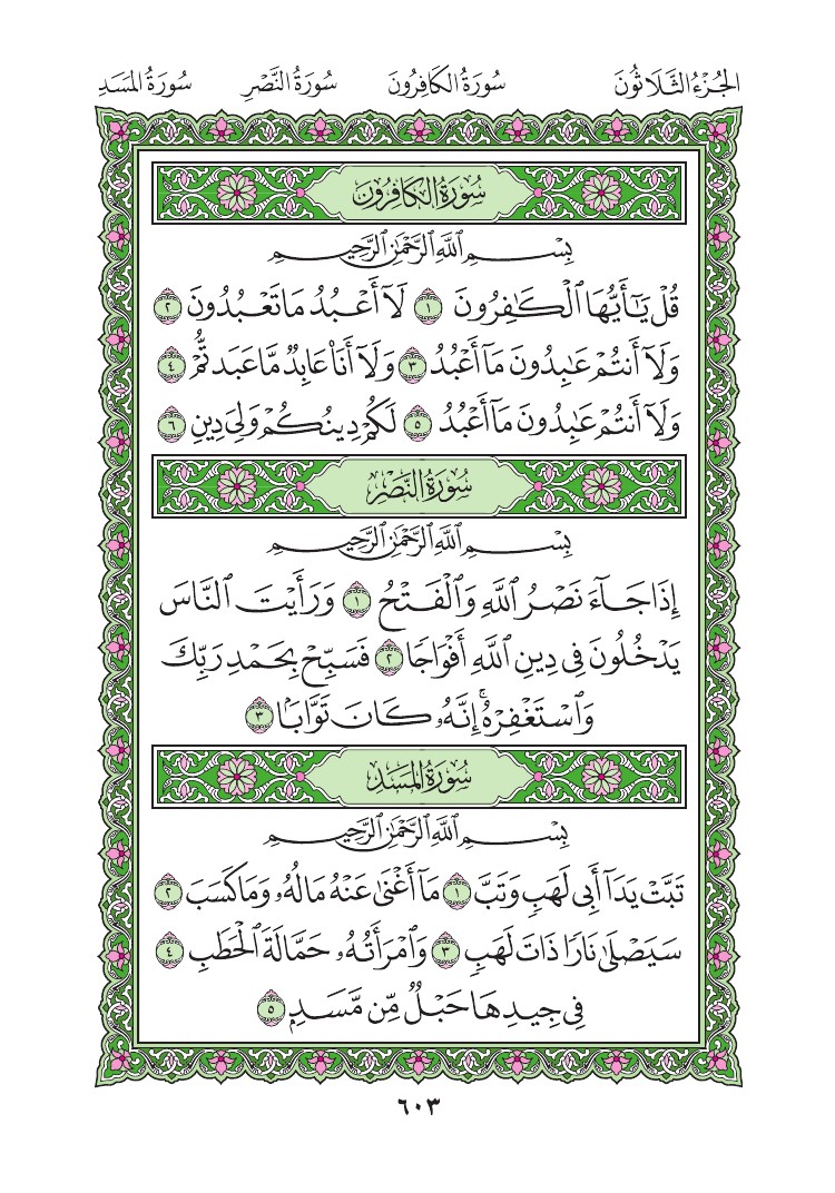 سورة النصر - صفحة 603