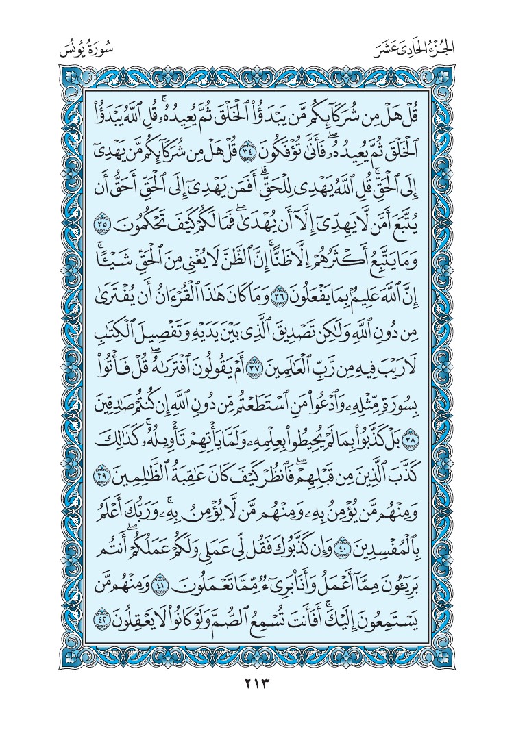 سورة يونس - صفحة 213