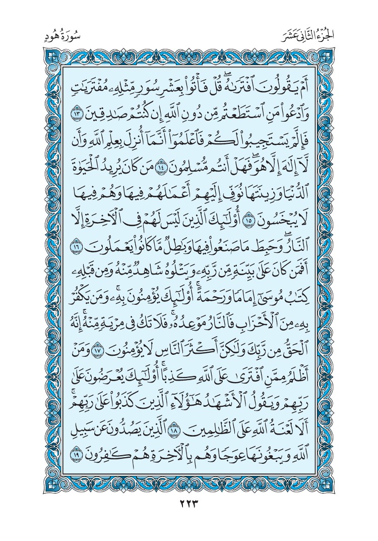 سورة هود - صفحة 223