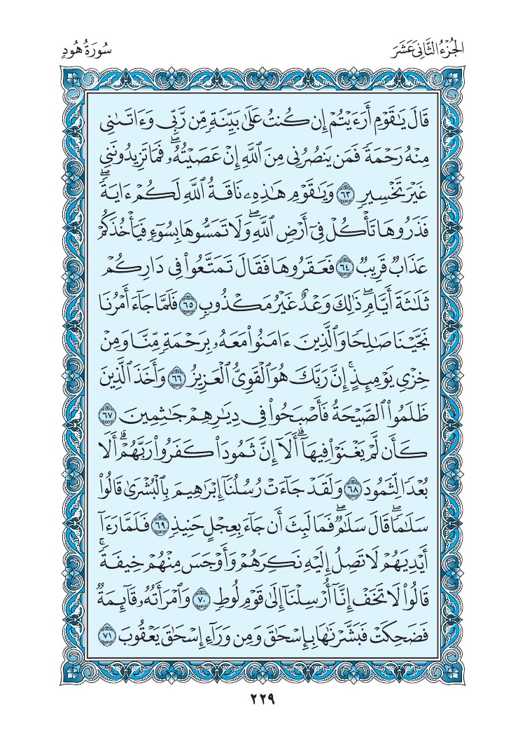 سورة هود - صفحة 229