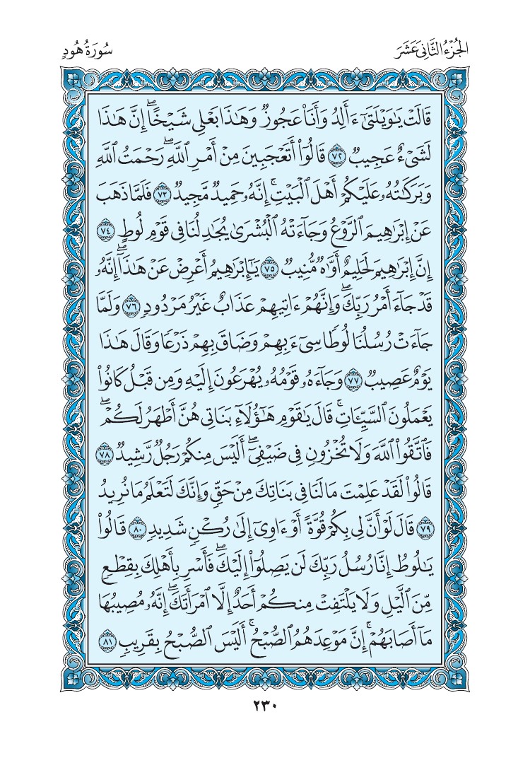 سورة هود - صفحة 230