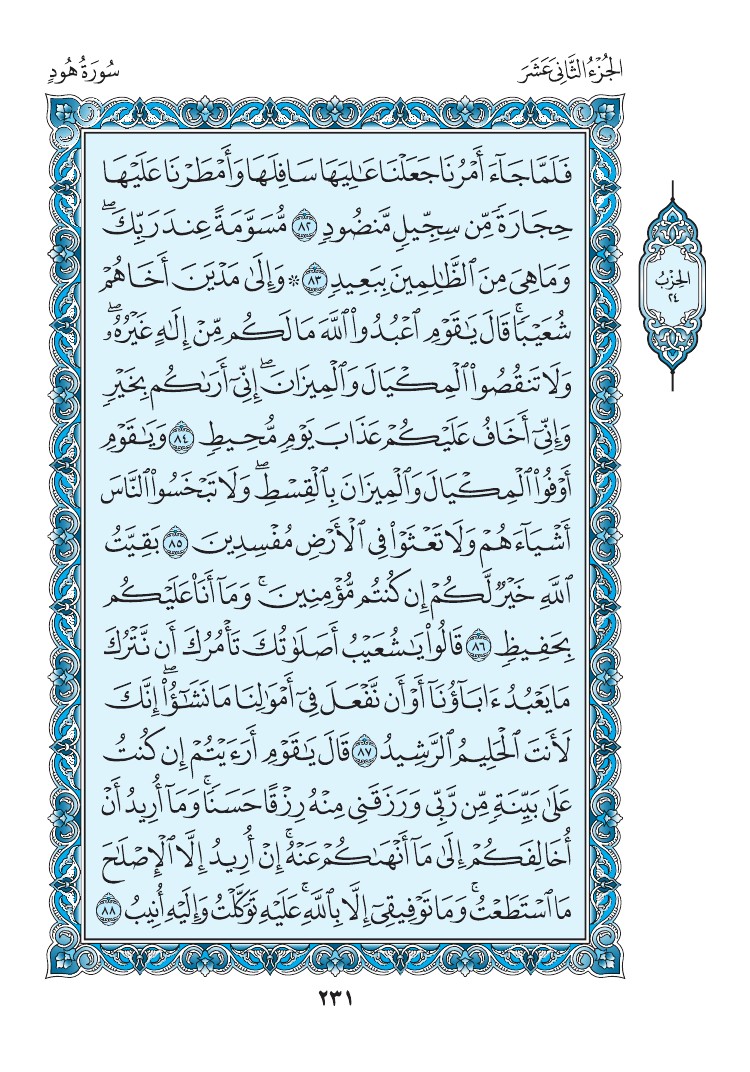سورة هود - صفحة 231