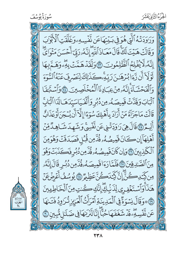 سورة يوسف - صفحة 238