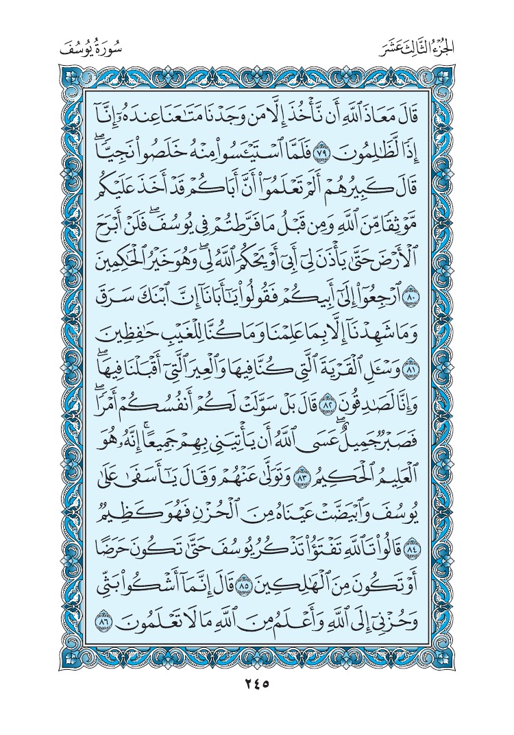 سورة يوسف - صفحة 245