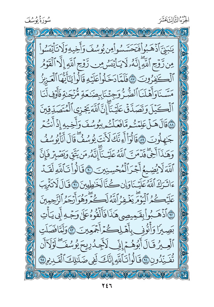 سورة يوسف - صفحة 246