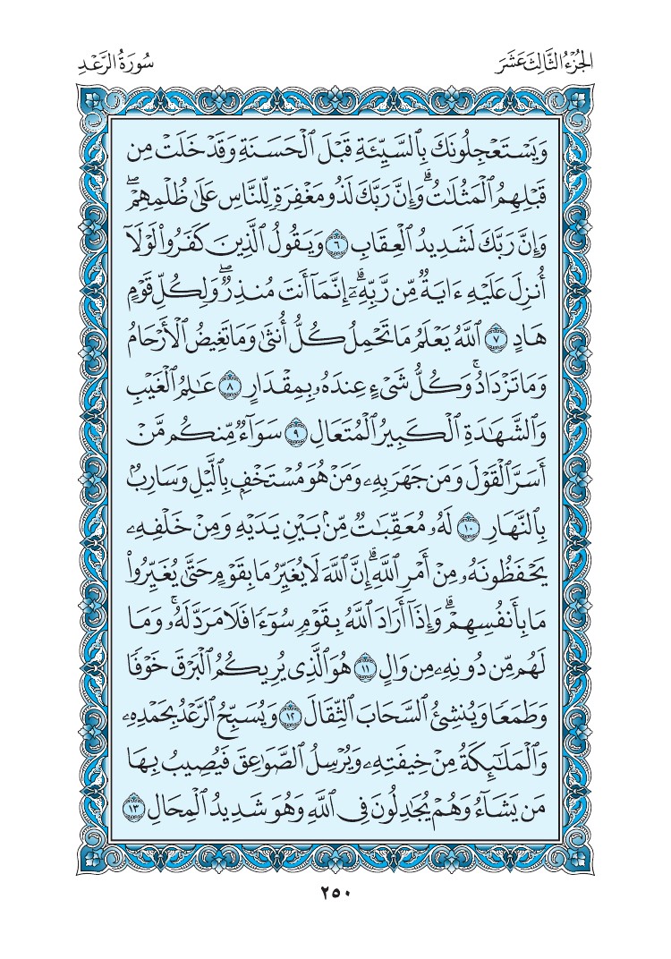 سورة الرعد - صفحة 250