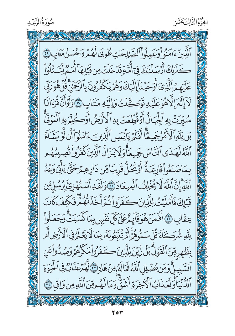 سورة الرعد - صفحة 253