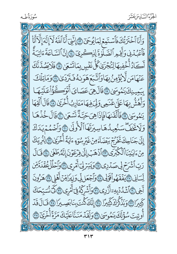سورة طه - صفحة 313