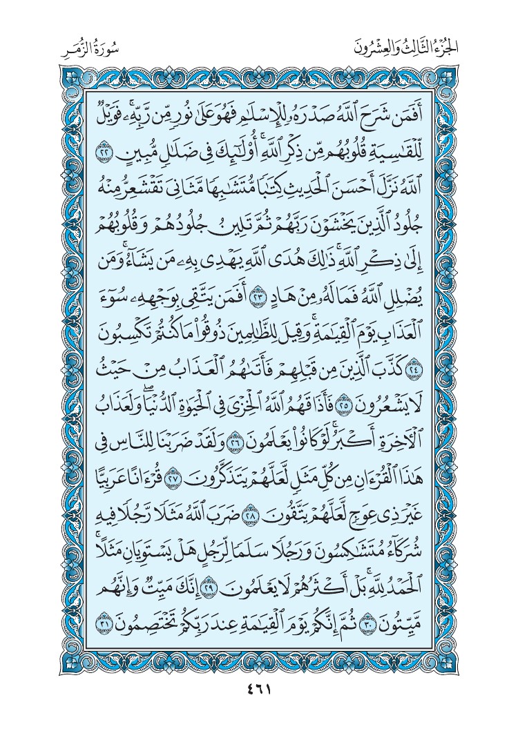 سورة الزمر - صفحة 461