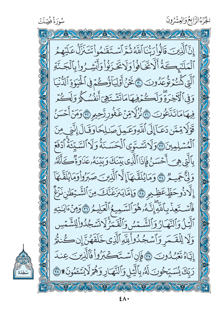 سورة فصلت - صفحة 480
