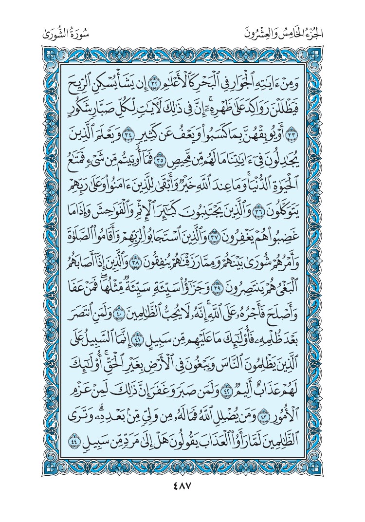 سورة الشورى - صفحة 487