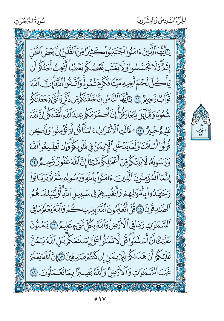 سورة الحجرات - صفحة 517
