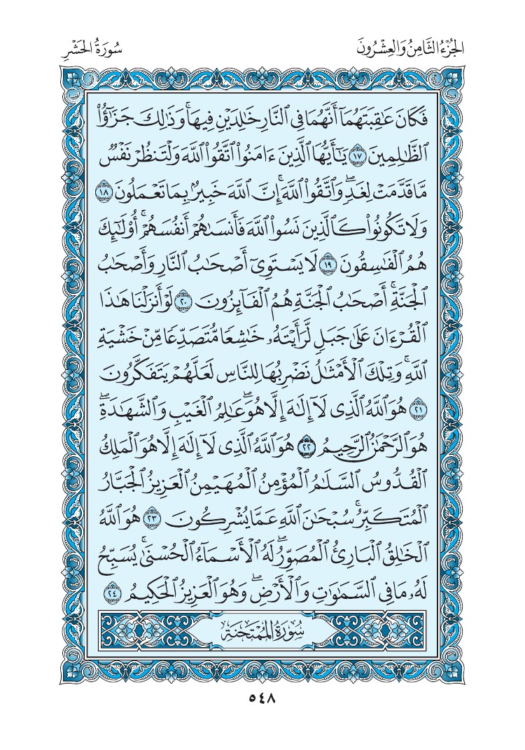 سورة الحشر - صفحة 548