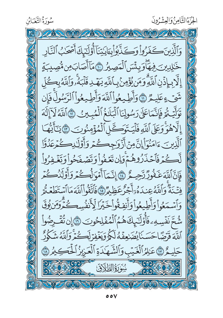 سورة التغابن - صفحة 557