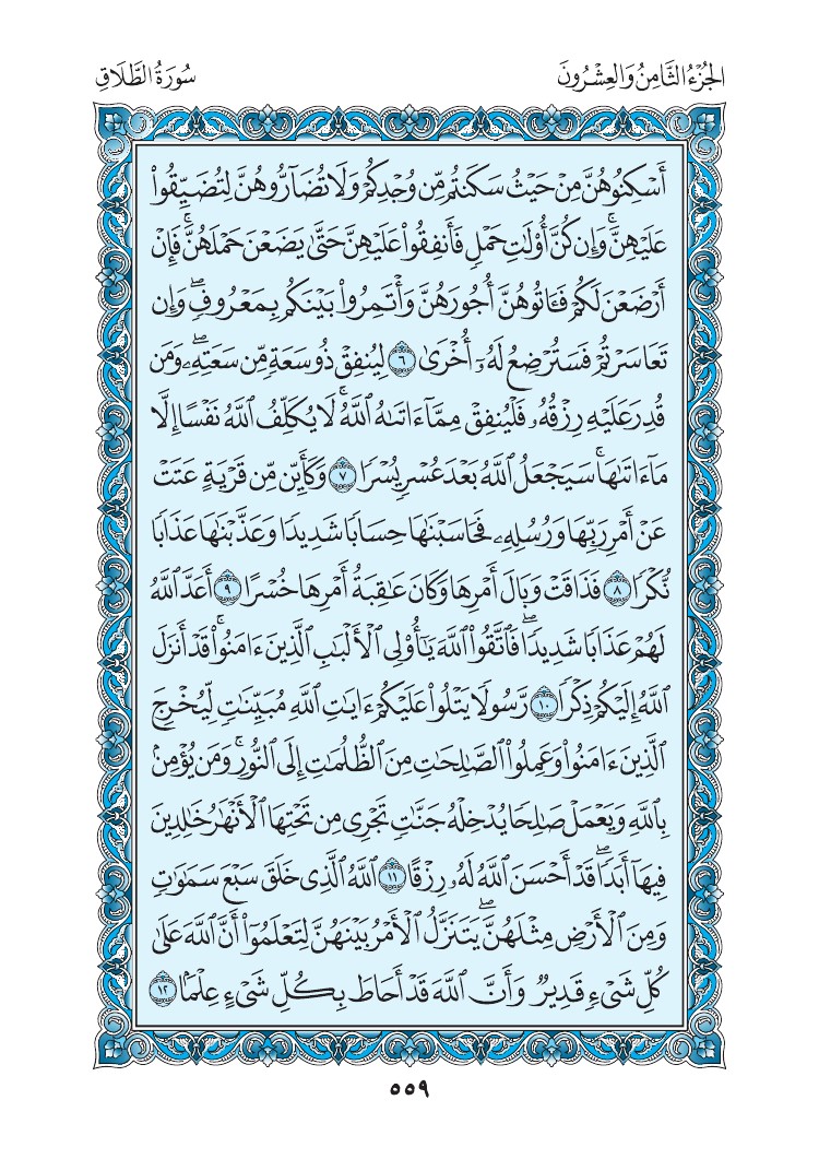 سورة الطلاق - صفحة 559